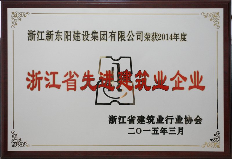 浙江新東陽建設(shè)集團有限公司